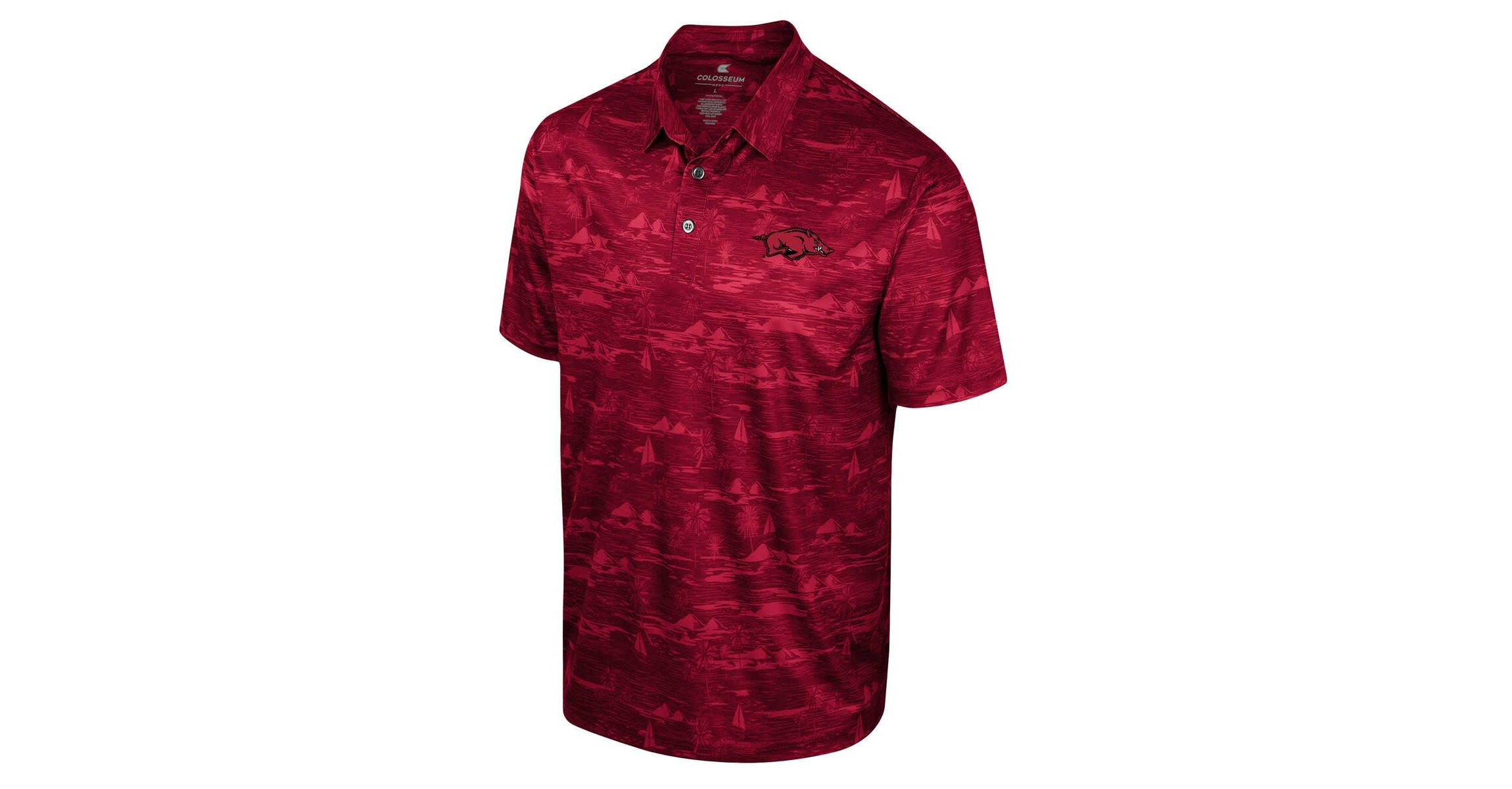 NCAA Arkansas Razorbacks Daly Print Polo