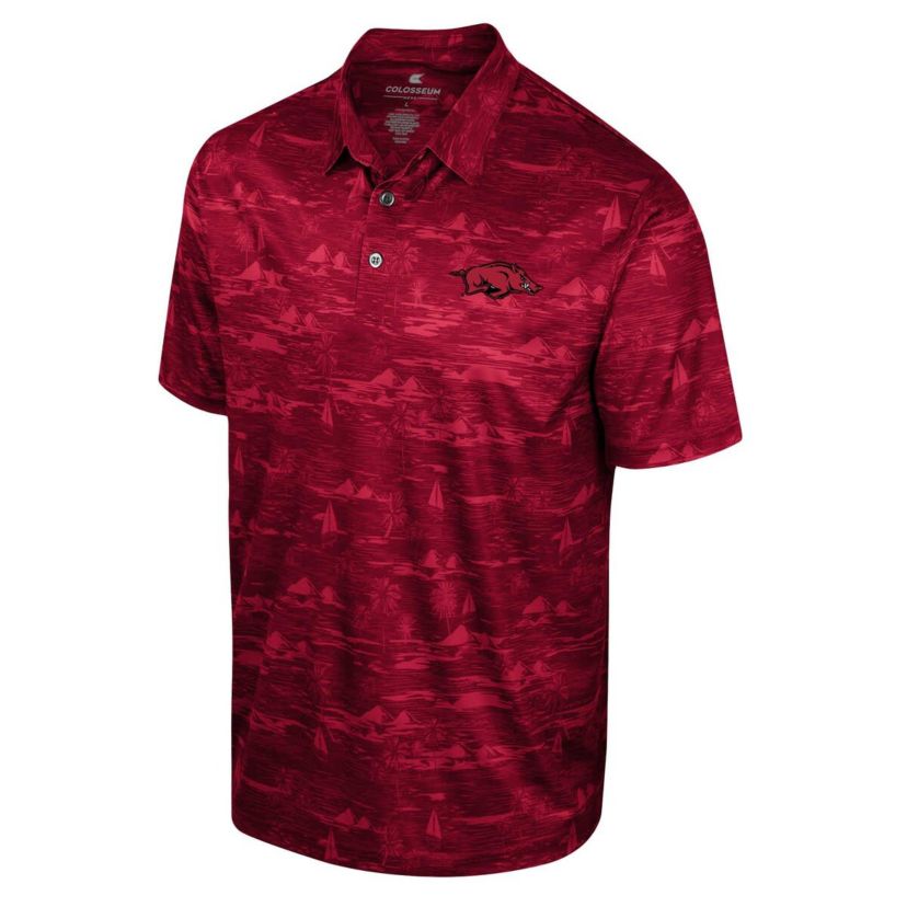NCAA Arkansas Razorbacks Daly Print Polo