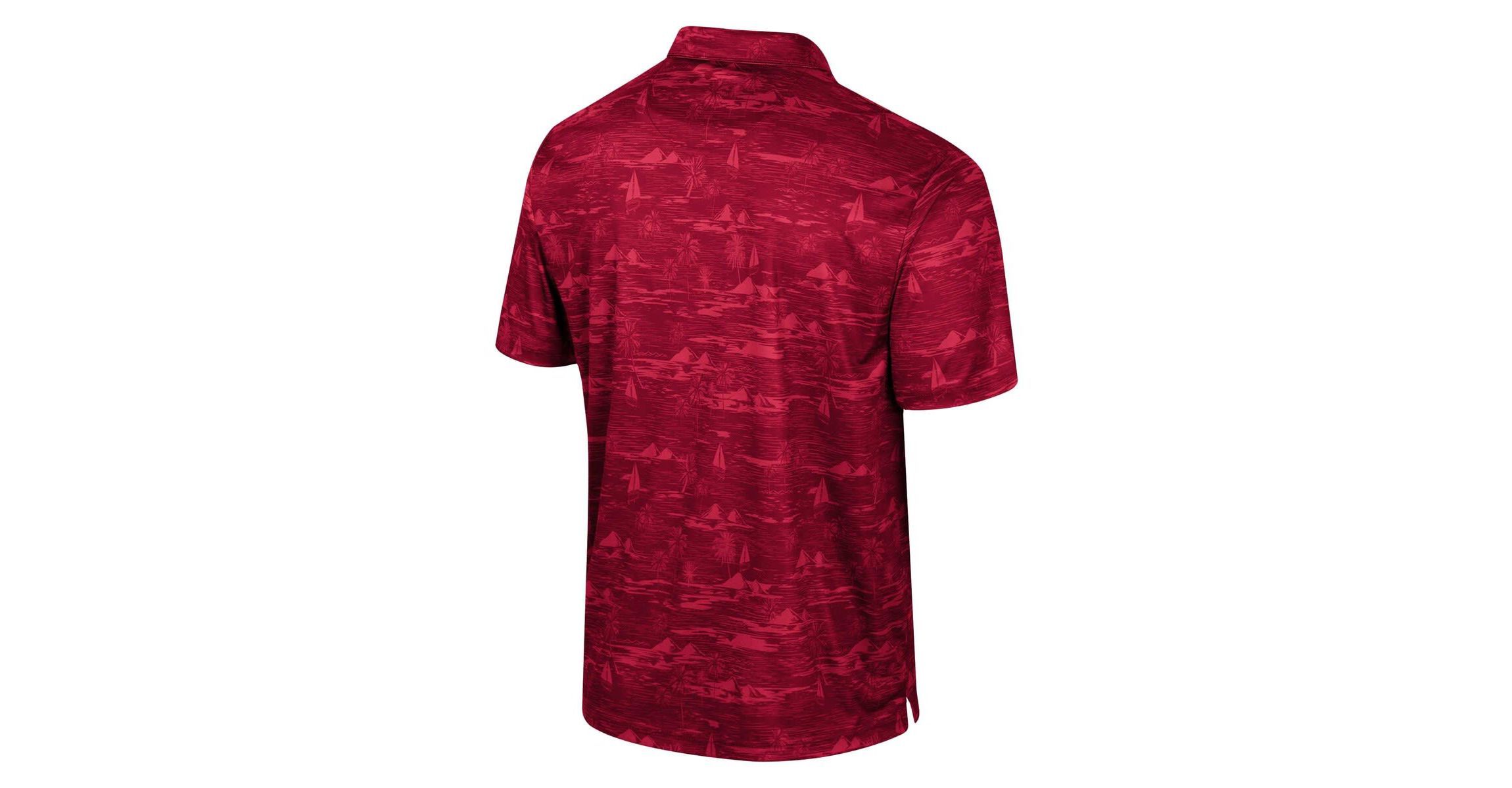 NCAA Arkansas Razorbacks Daly Print Polo
