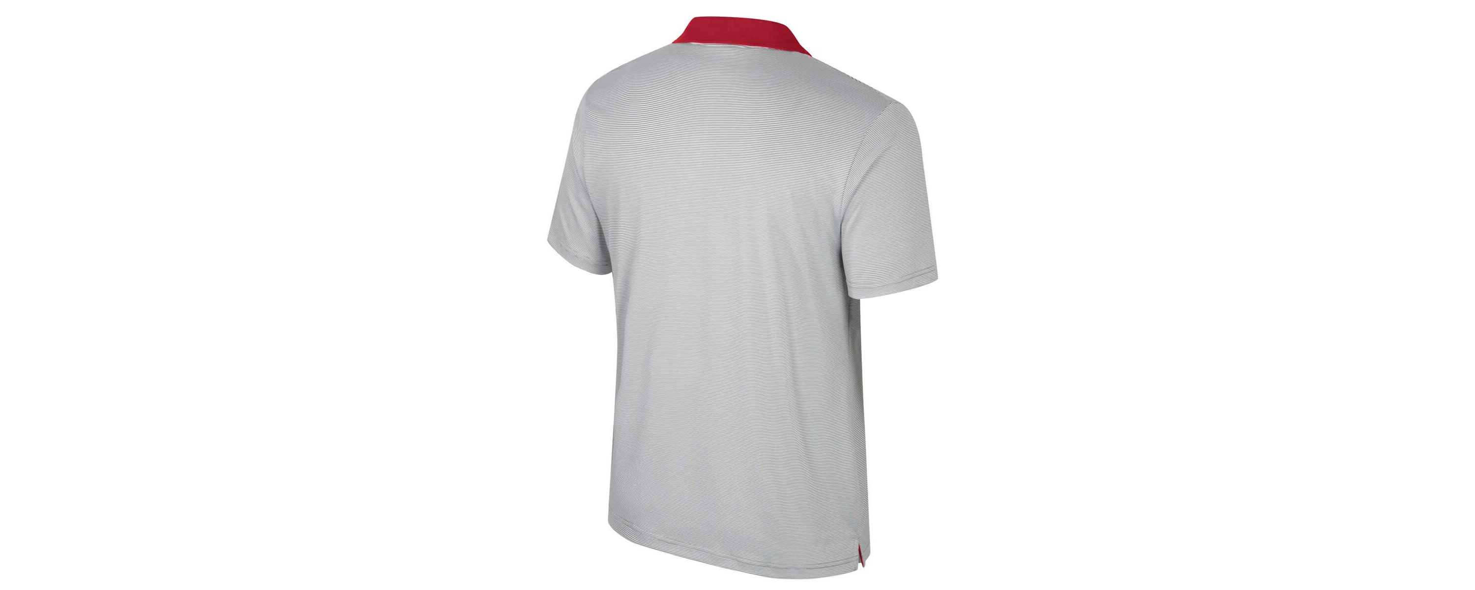 NCAA Arkansas Razorbacks Big & Tall Tuck Striped Polo