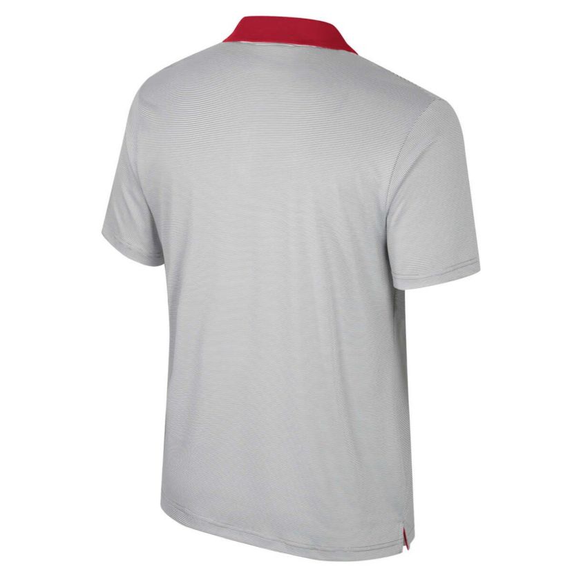NCAA Arkansas Razorbacks Big & Tall Tuck Striped Polo