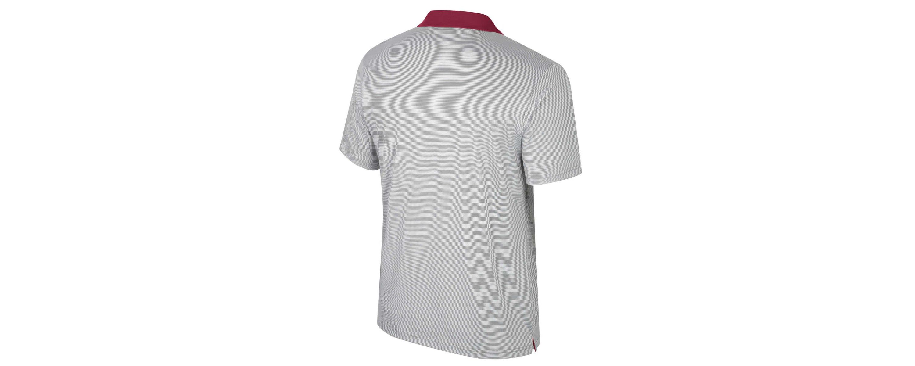 NCAA Florida State Seminoles Big & Tall Tuck Striped Polo