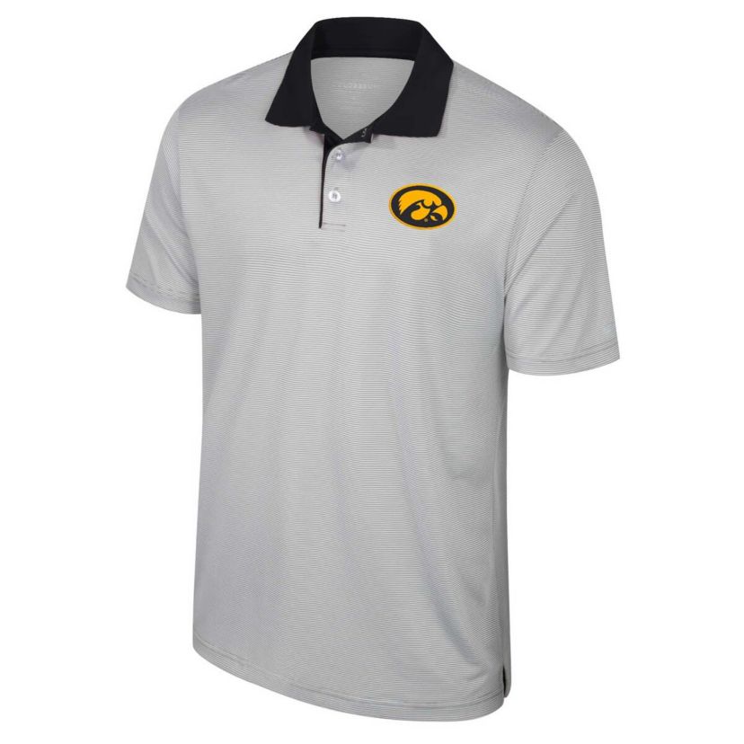 NCAA Iowa Hawkeyes Big & Tall Tuck Striped Polo