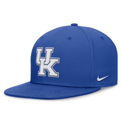 Mens NCAA Nike Kentucky Wildcats OnField Pro Fitted Hat