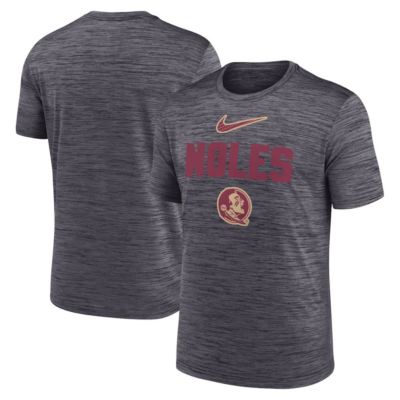 Men's NCAA Nike Florida State Seminoles Campus Slant Velocity Performance T-Shirt, Black, Small