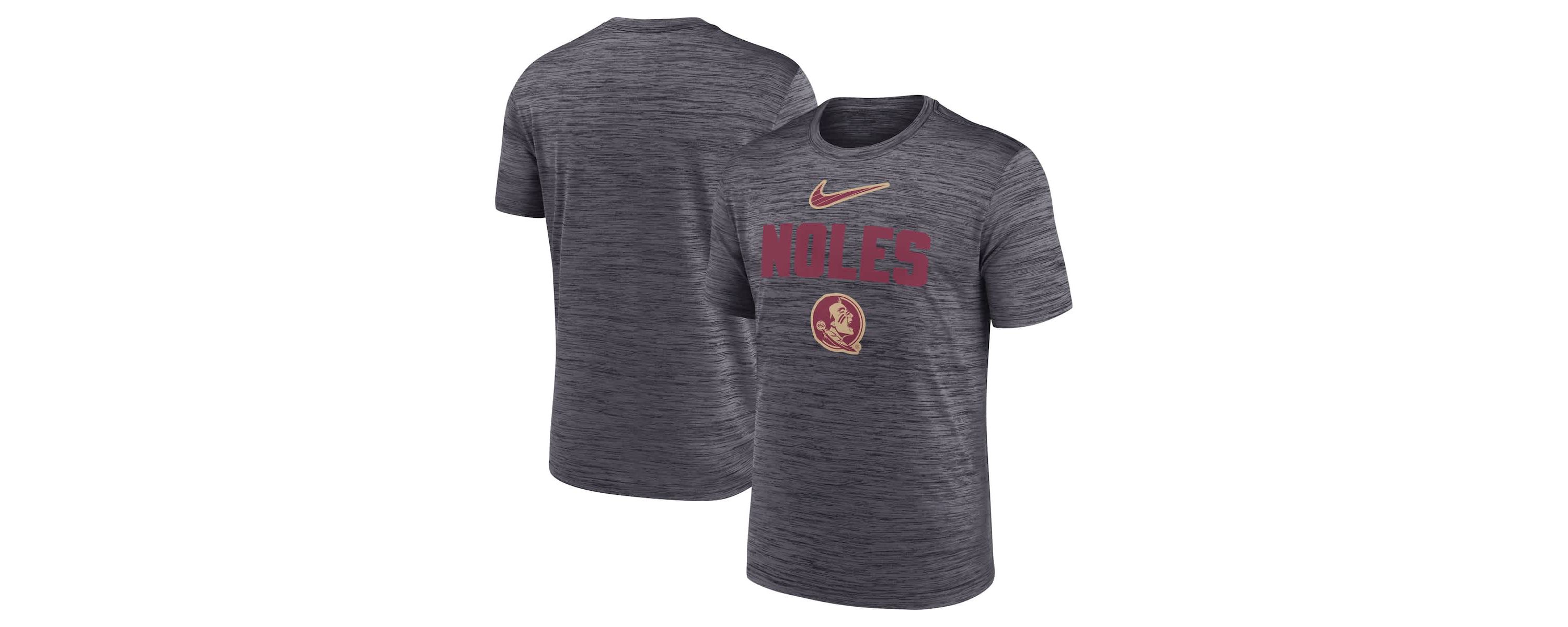 NCAA Nike Florida State Seminoles Campus Slant Velocity Performance T-Shirt
