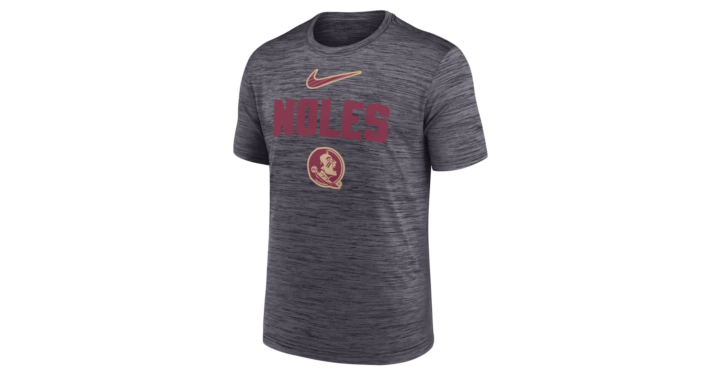 NCAA Nike Florida State Seminoles Campus Slant Velocity Performance T-Shirt