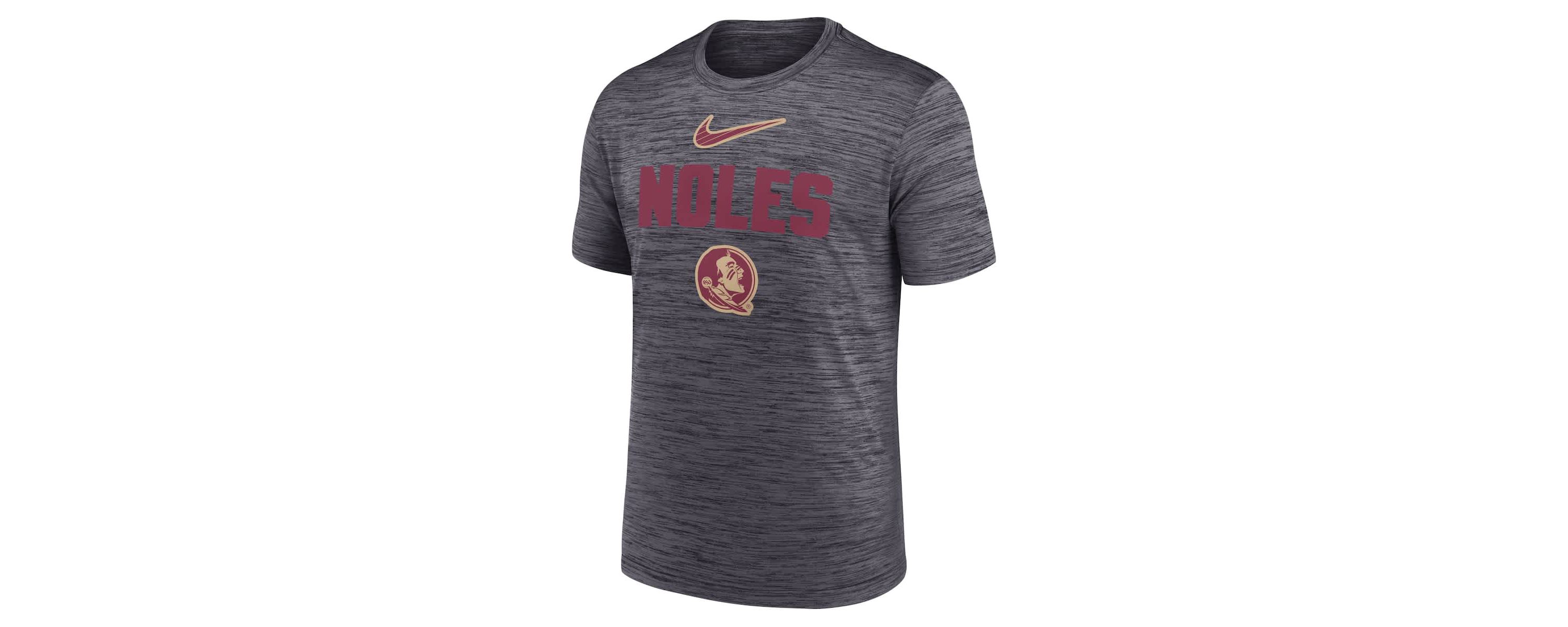 NCAA Nike Florida State Seminoles Campus Slant Velocity Performance T-Shirt