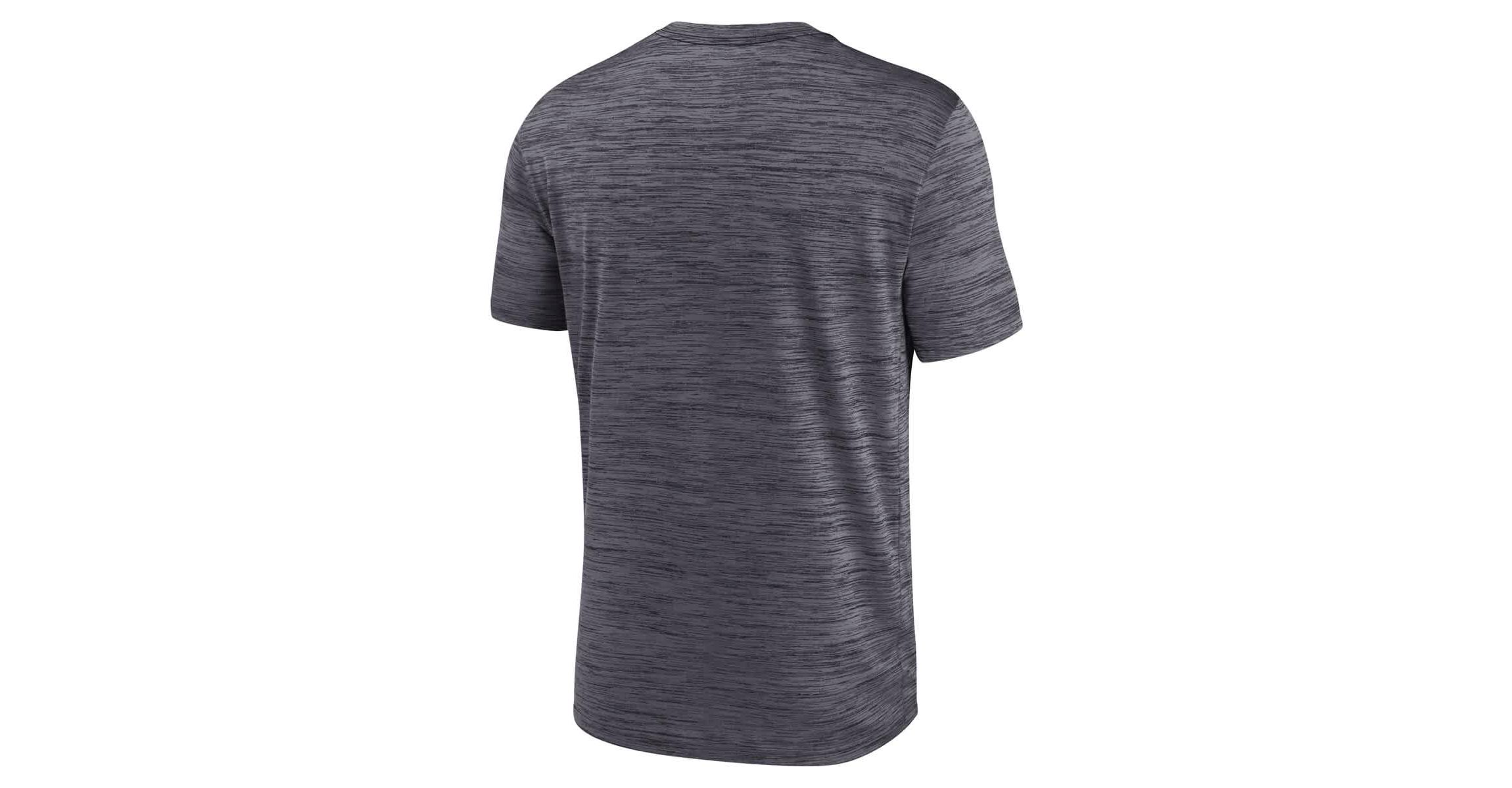 NCAA Nike Florida State Seminoles Campus Slant Velocity Performance T-Shirt