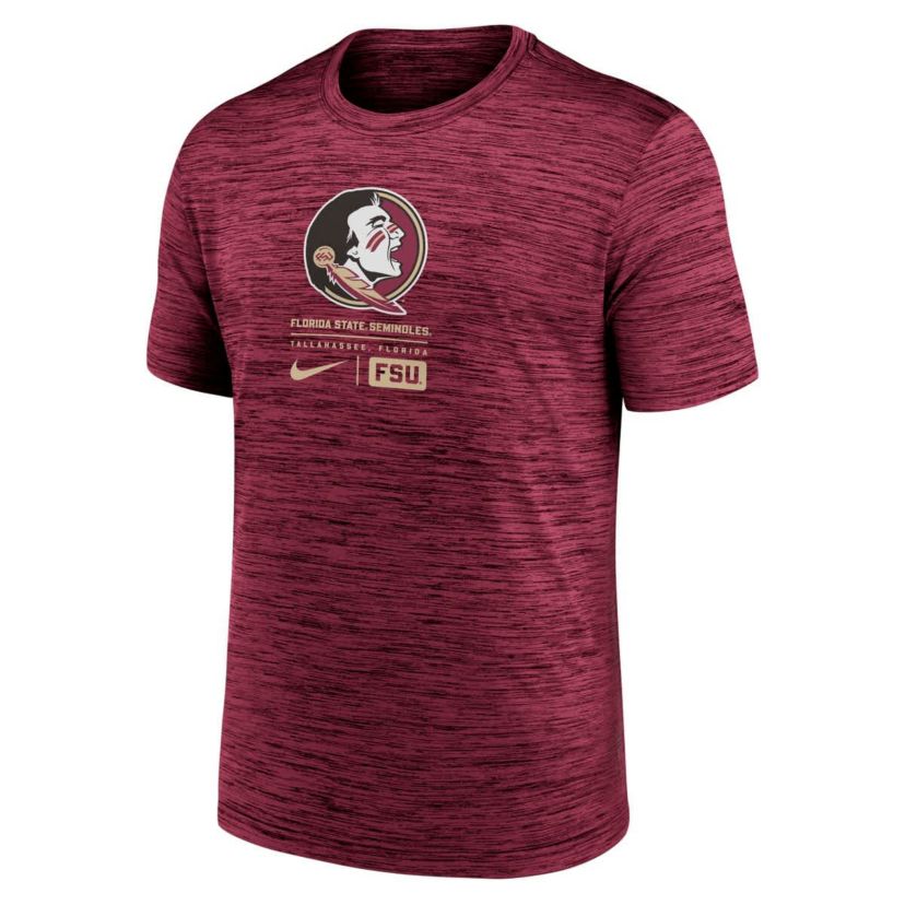 NCAA Nike Florida State Seminoles Campus Center Block Velocity Performance T-Shirt