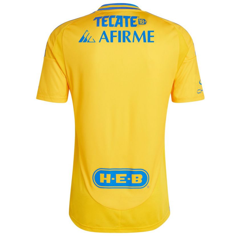 International Clubs Tigres UANL 2024/25 Home Replica Jersey