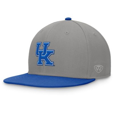 Top of the World Men's NCAA Gray/Royal Kentucky Wildcats Rally Two-Tone Fitted Hat, Gray, 7 1/2