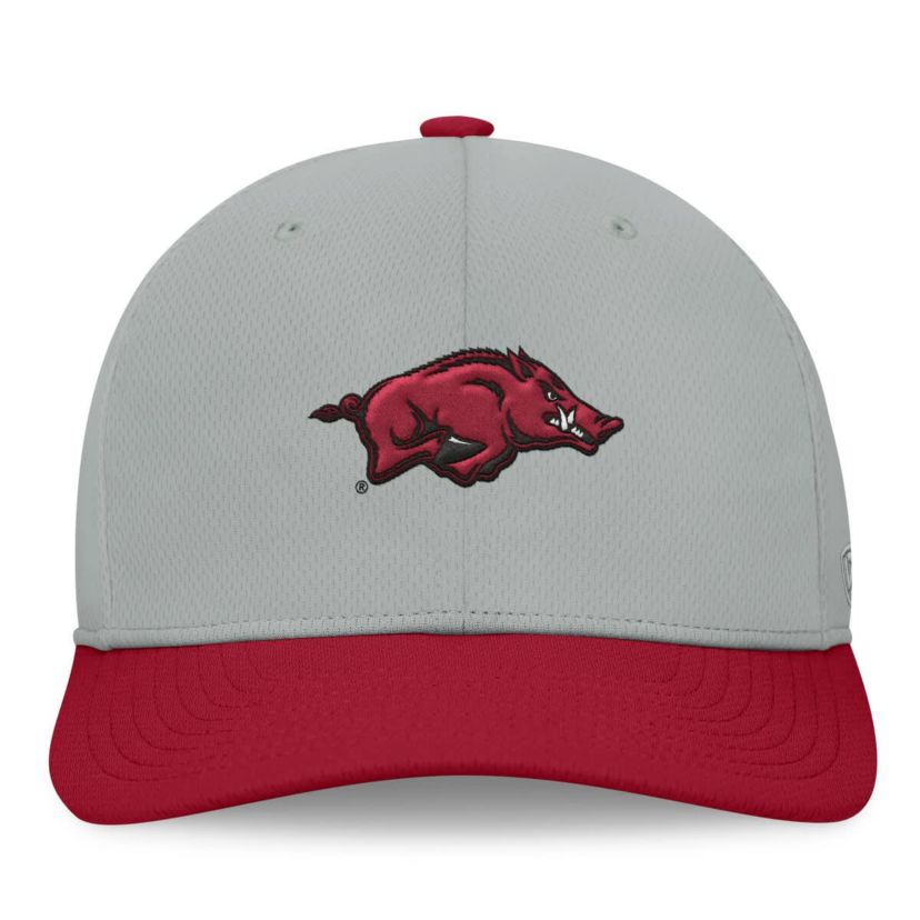 NCAA Gray/Cardinal Arkansas Razorbacks Mick Flex Hat