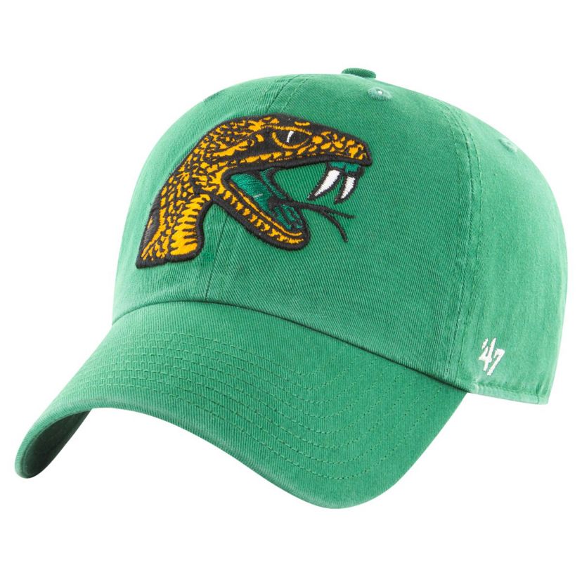 NCAA Florida A&M Rattlers Side & Back Clean Up Adjustable Hat