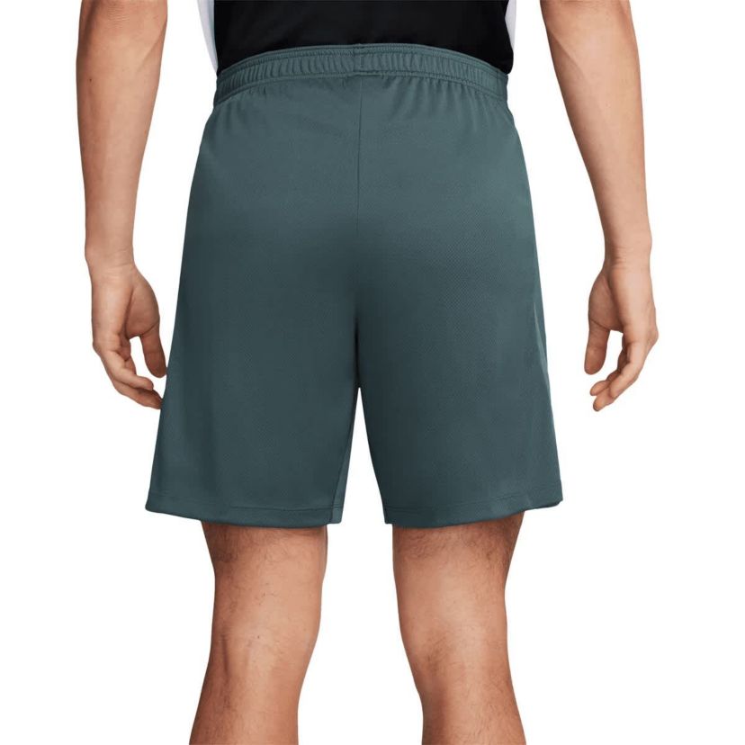 International Clubs Nike Tottenham Hotspur 2024/25 Third Strike Training Performance Shorts