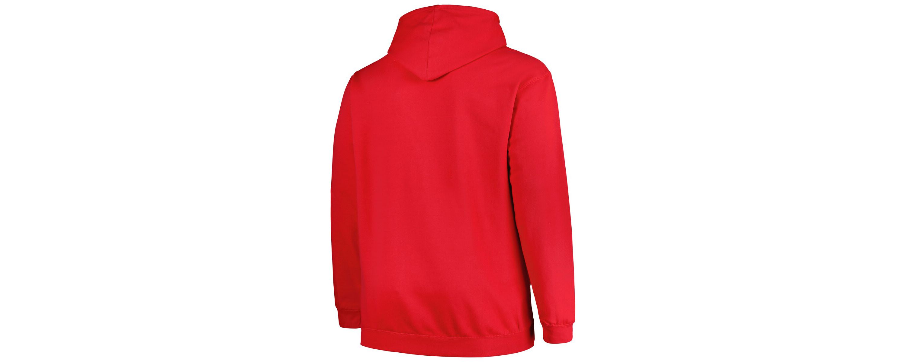 NCAA Ohio State Buckeyes Big & Tall Arch Over Logo Powerblend Pullover Hoodie