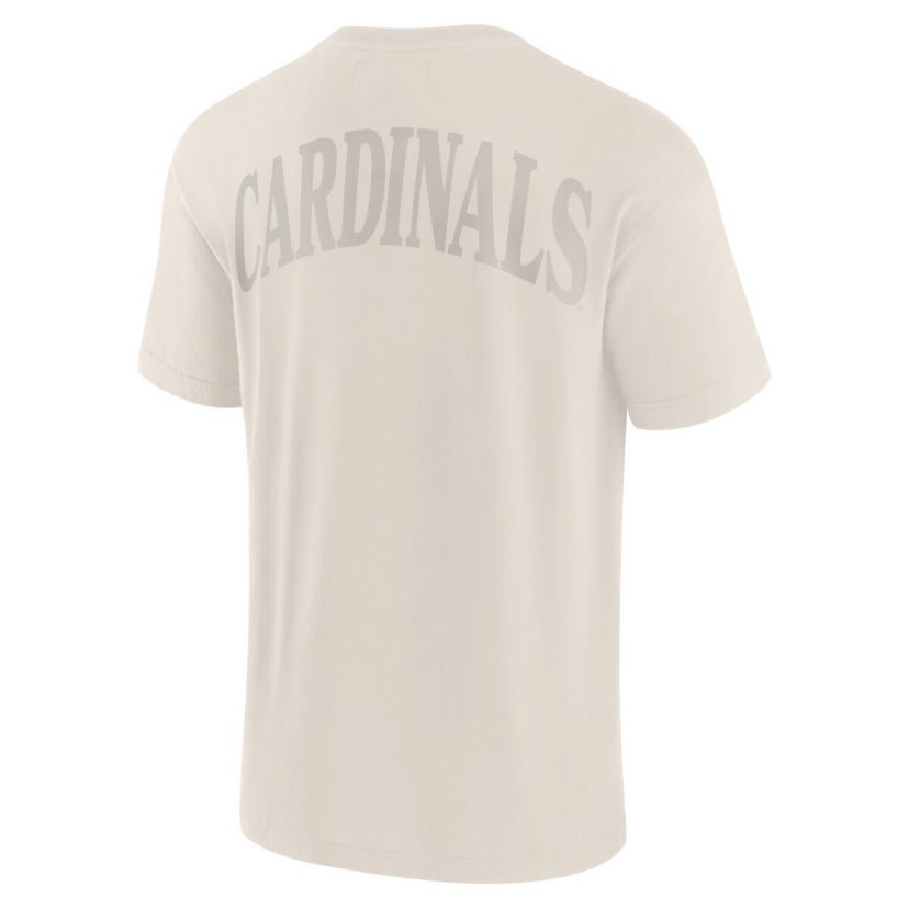 MLB Fanatics St. Louis Cardinals Elements Iconic T-Shirt