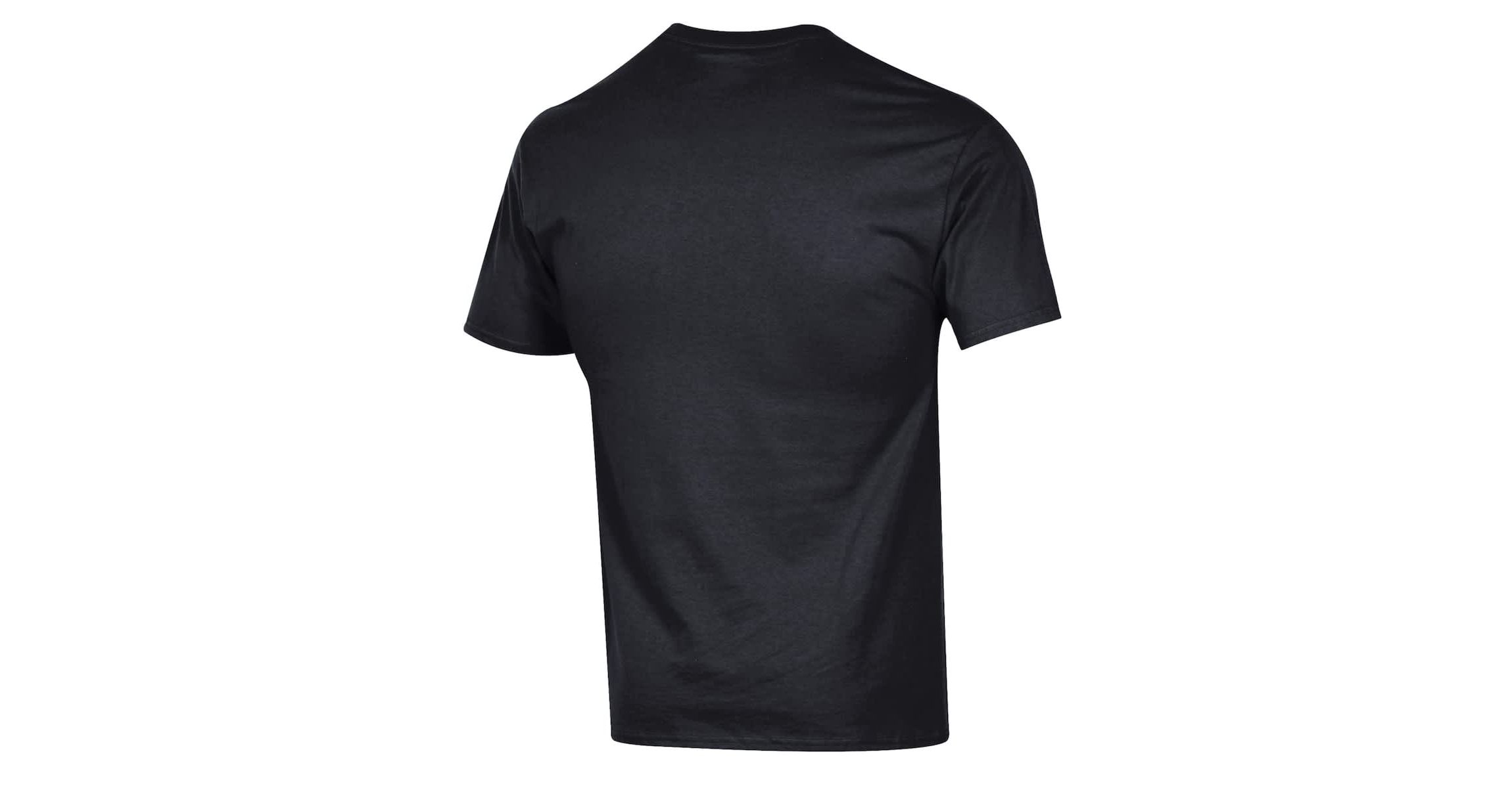 NHL Detroit Wings Jersey T-Shirt