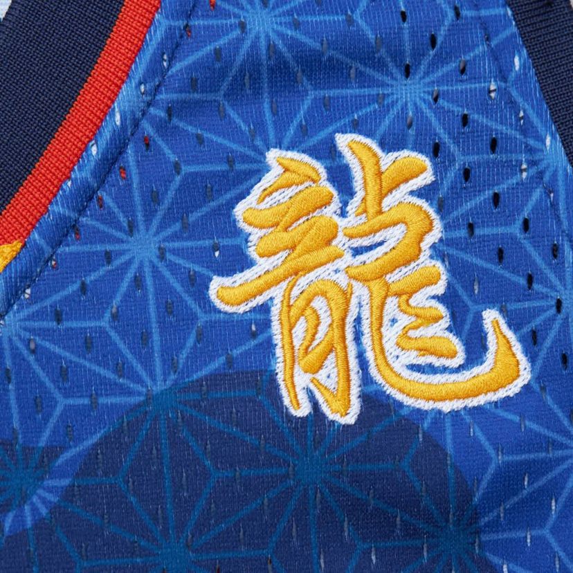 NBA Baron Davis Golden State Warriors 2006/07 Hardwood Classics Asian 6.0 Swingman Throwback Player Jersey