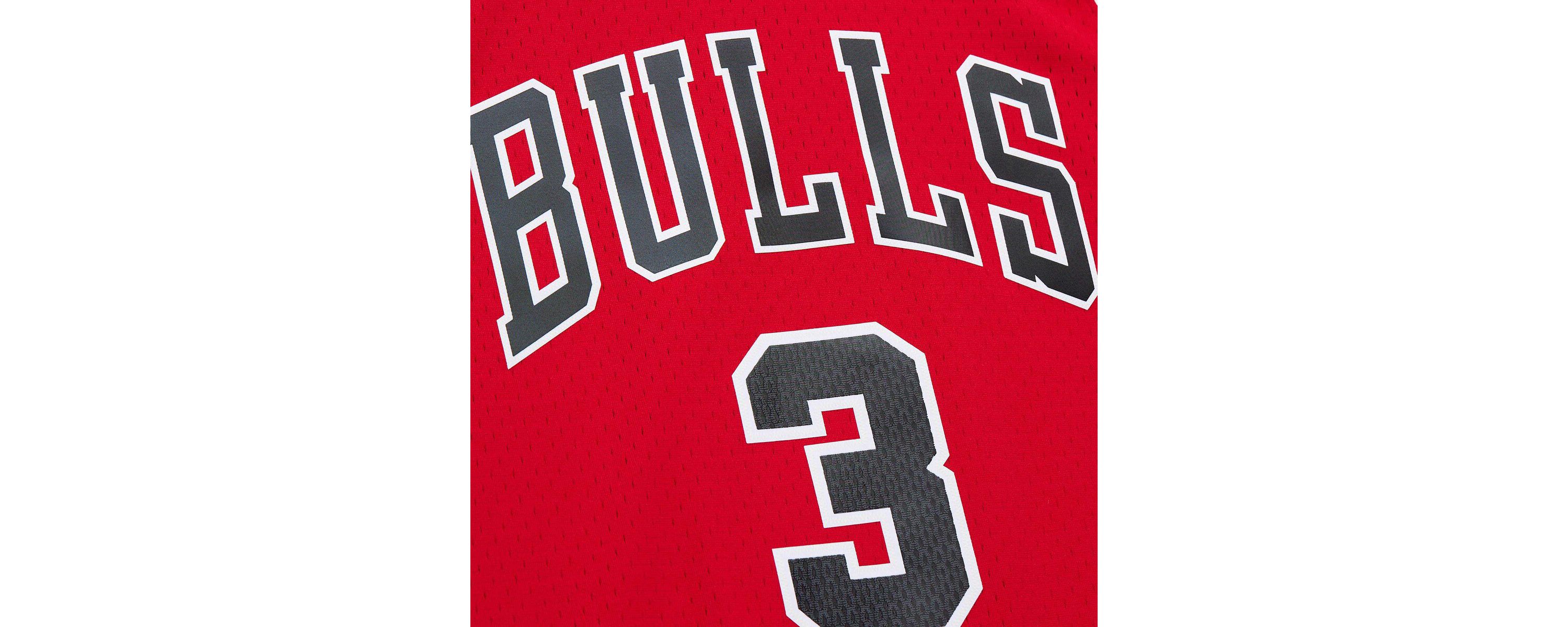 NBA Dwyane Wade Chicago Bulls 2016/17 Hardwood Classics Swingman Jersey