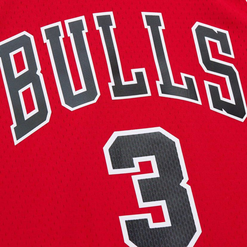 NBA Dwyane Wade Chicago Bulls 2016/17 Hardwood Classics Swingman Jersey