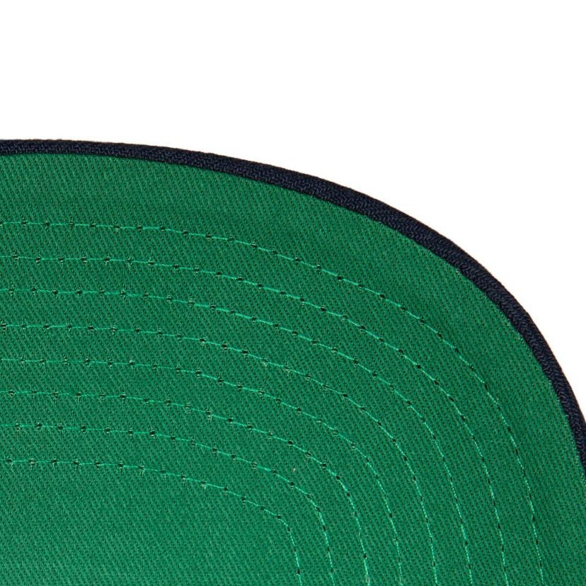 NHL St. Louis Blues Team Ground Pro Adjustable Hat