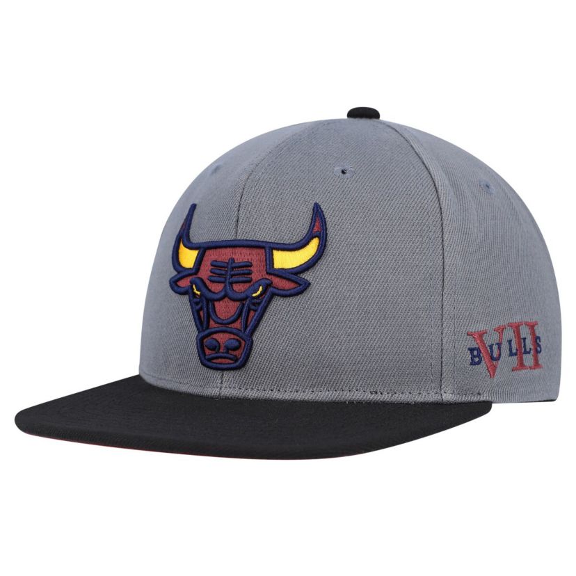 NBA Gray/Black Chicago Bulls Core Snapback Hat