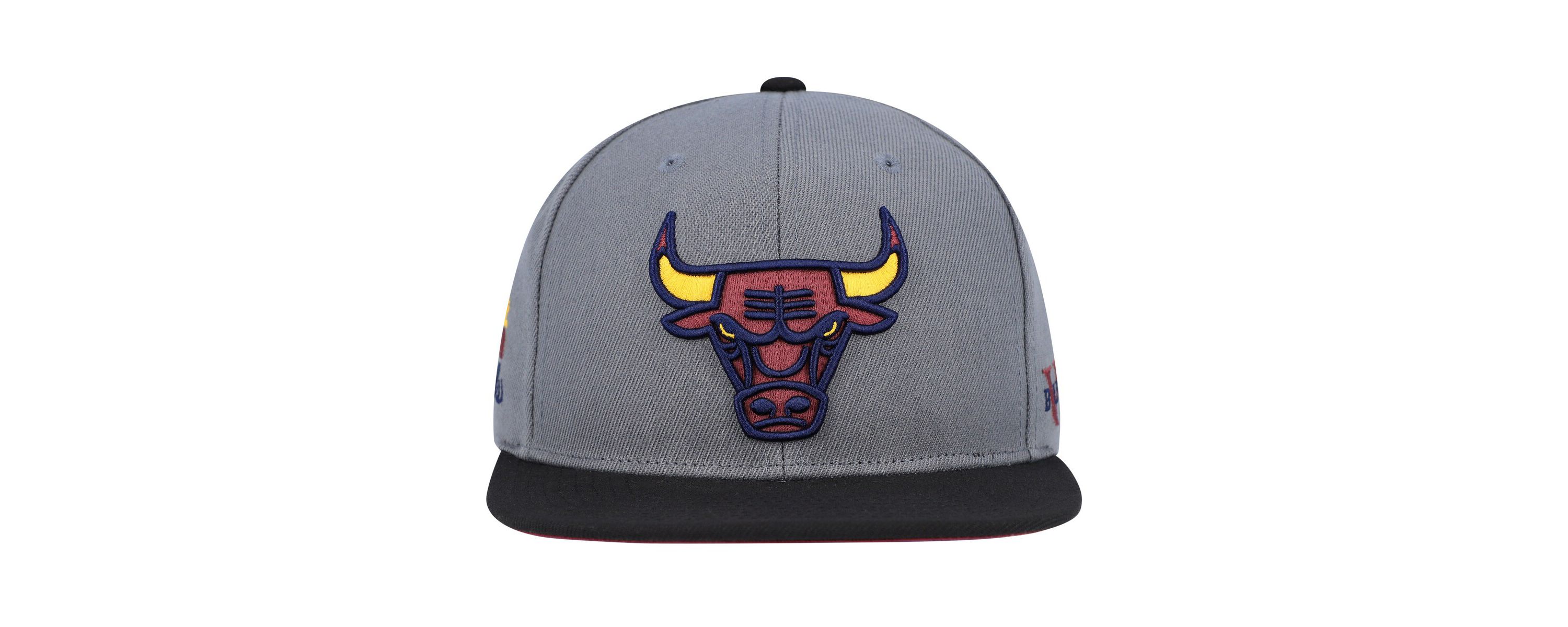 NBA Gray/Black Chicago Bulls Core Snapback Hat