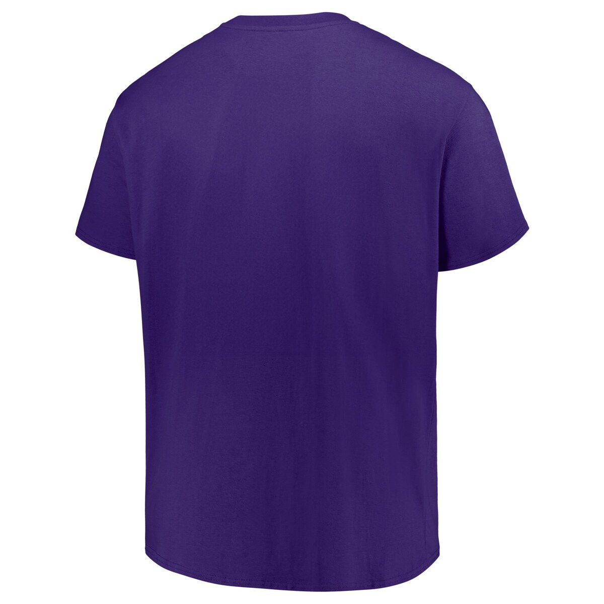 NCAA LSU Tigers Big & Tall Color Stripe T-Shirt