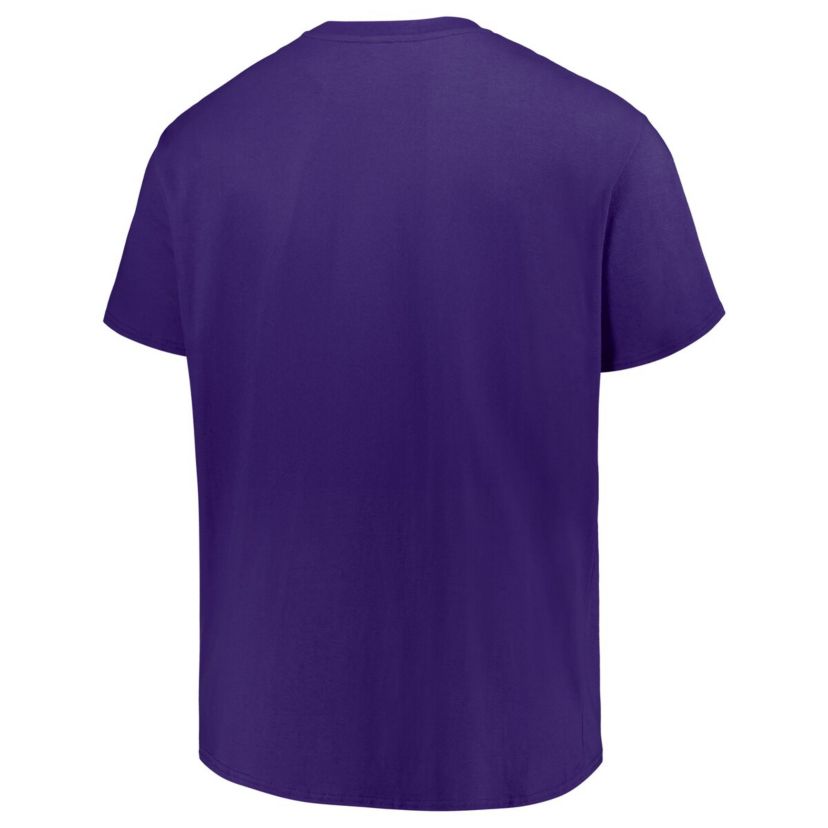 NCAA LSU Tigers Big & Tall Color Stripe T-Shirt
