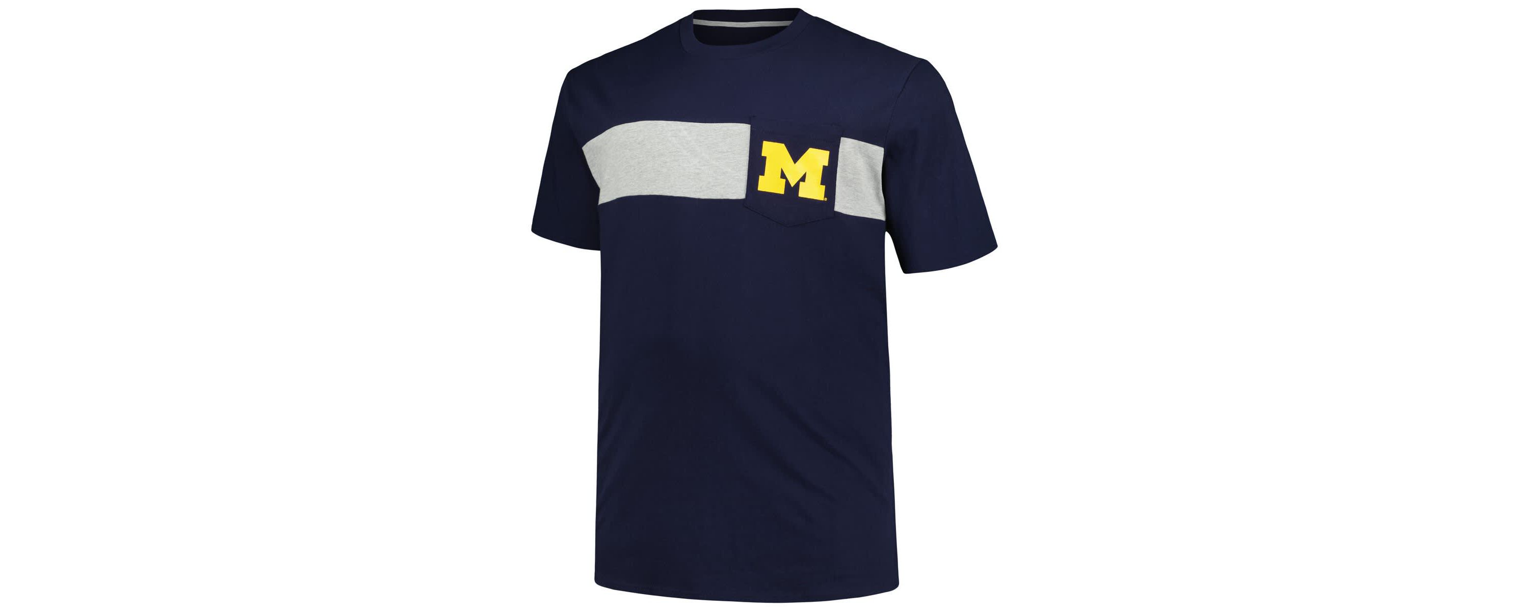 NCAA Michigan Wolverines Big & Tall Color Stripe T-Shirt