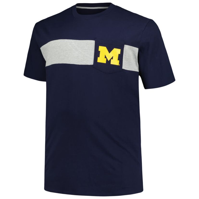NCAA Michigan Wolverines Big & Tall Color Stripe T-Shirt