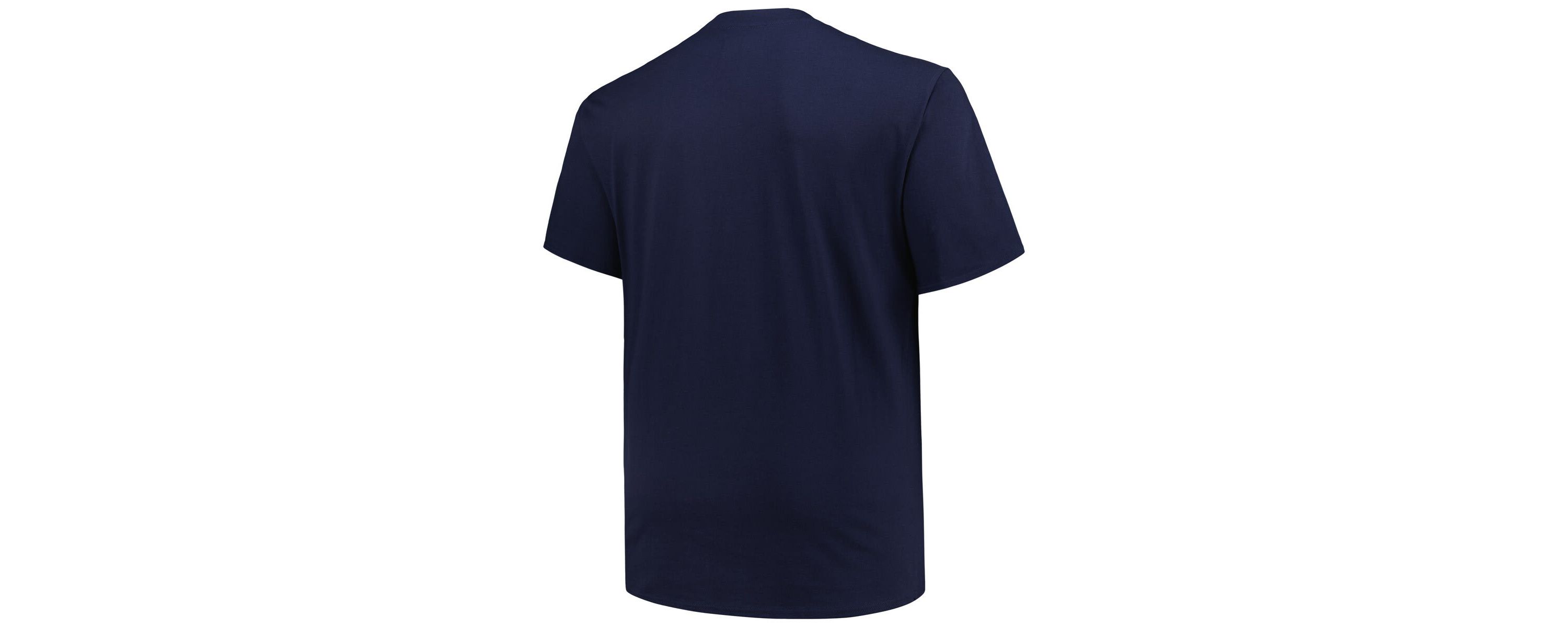 NCAA Michigan Wolverines Big & Tall Color Stripe T-Shirt