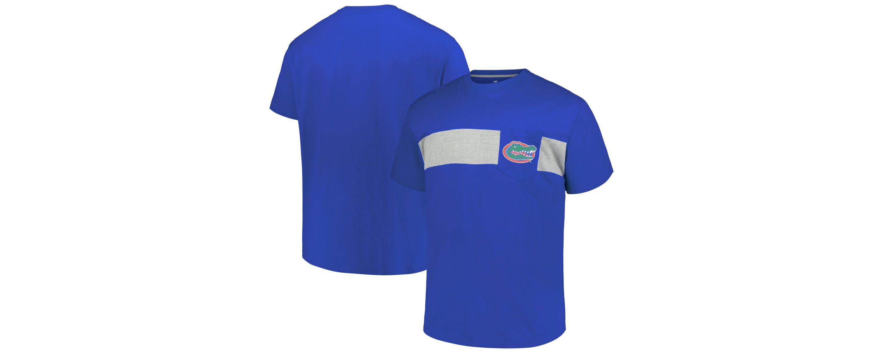 NCAA Florida Gators Big & Tall Color Stripe T-Shirt