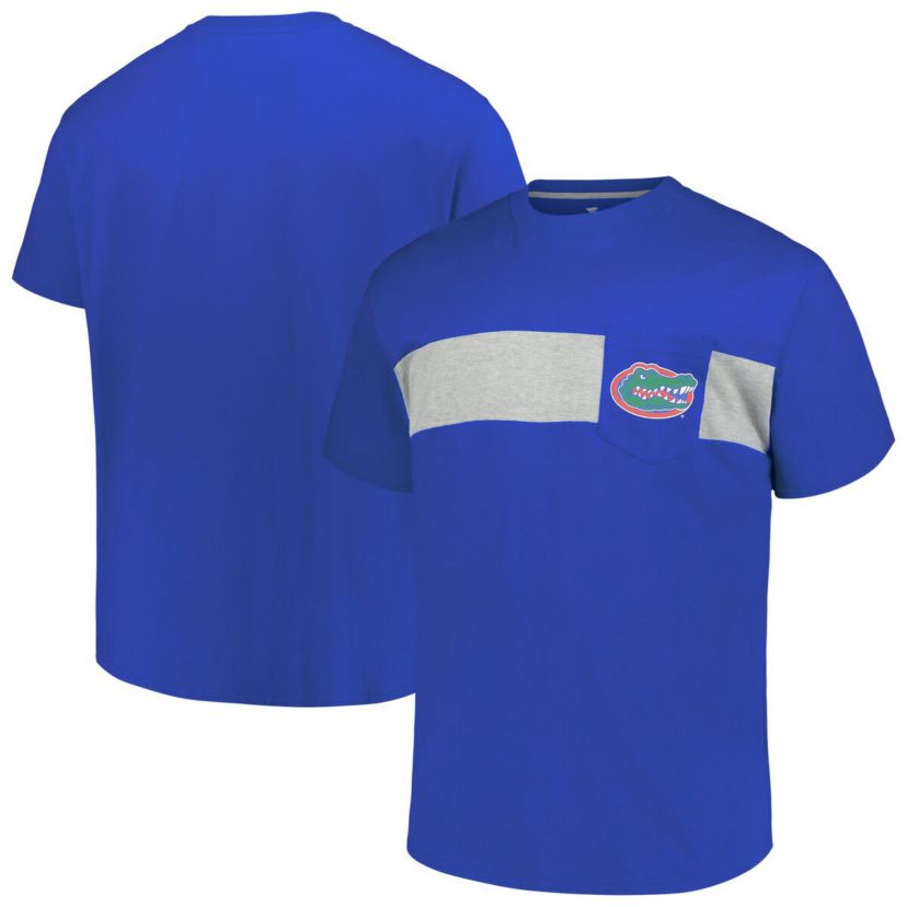 NCAA Florida Gators Big & Tall Color Stripe T-Shirt