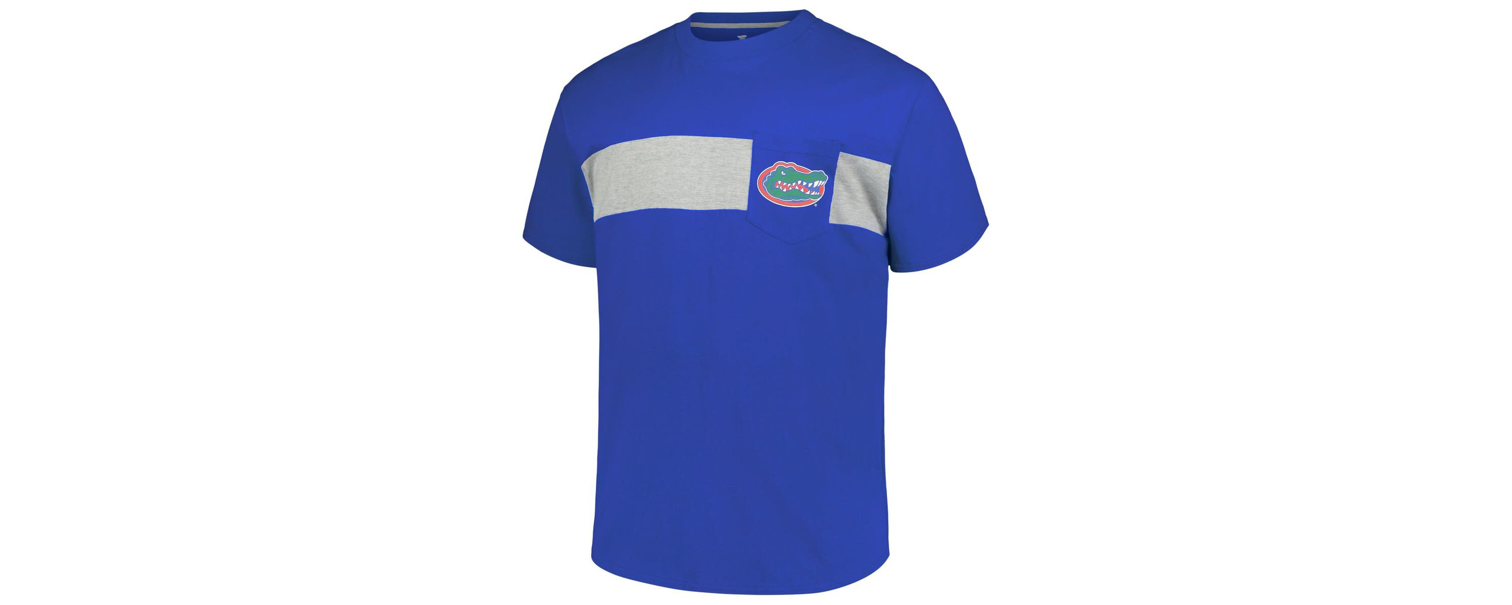NCAA Florida Gators Big & Tall Color Stripe T-Shirt