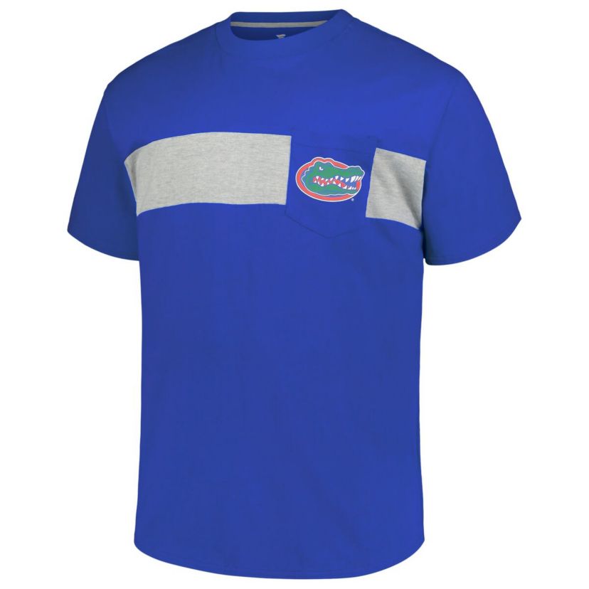NCAA Florida Gators Big & Tall Color Stripe T-Shirt