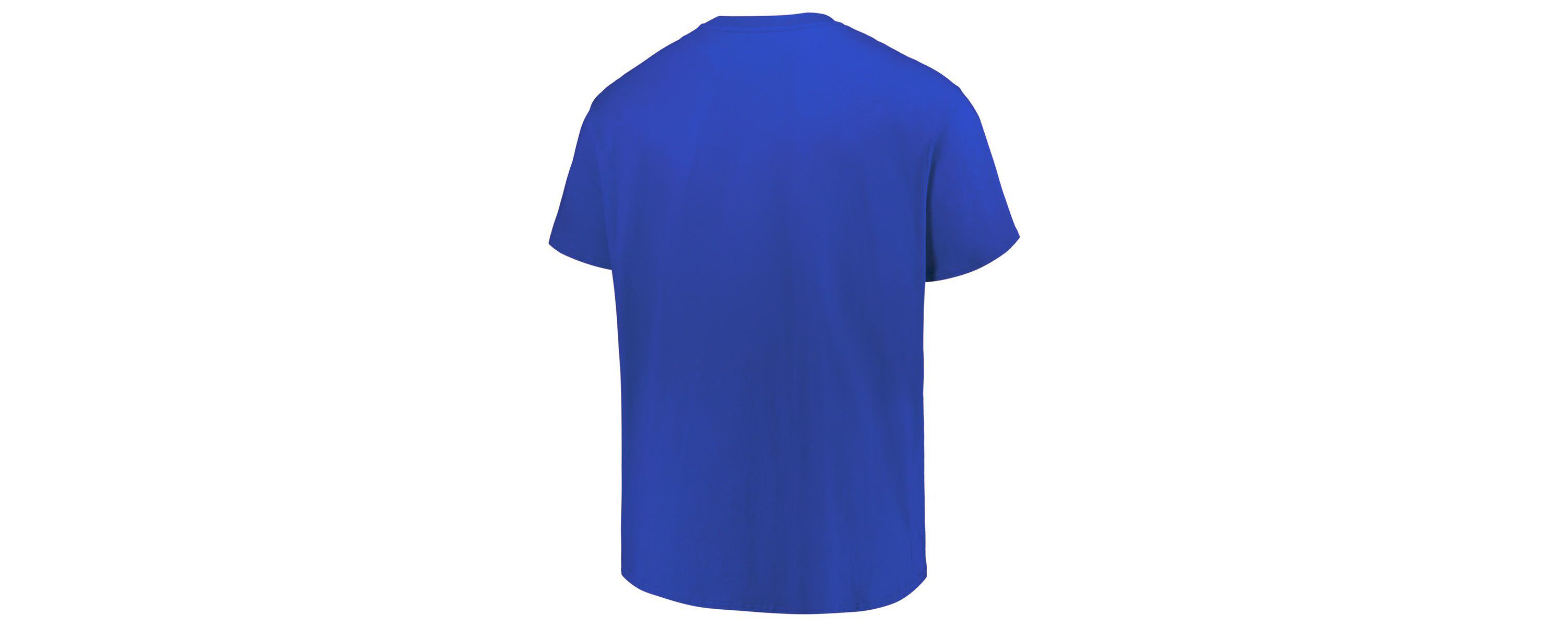 NCAA Florida Gators Big & Tall Color Stripe T-Shirt