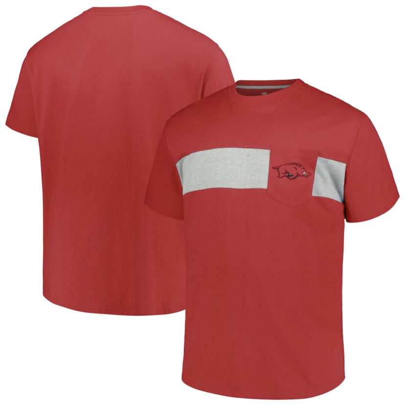 NCAA Arkansas Razorbacks Big & Tall Color Stripe T-Shirt