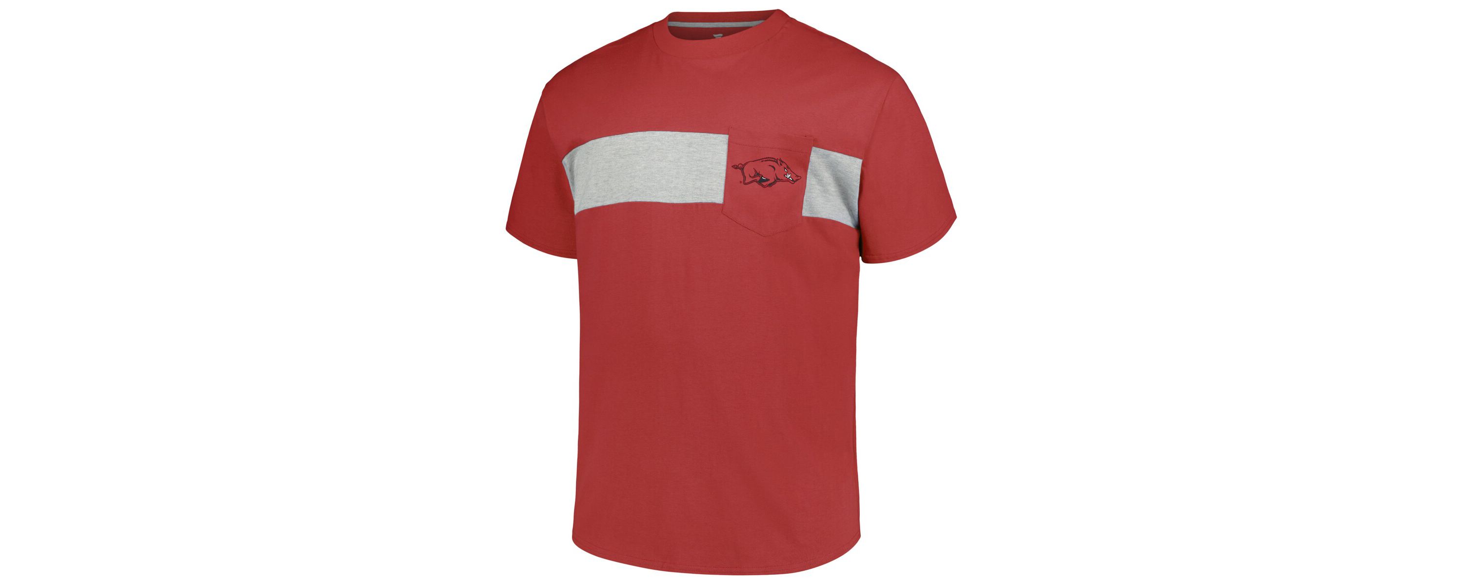 NCAA Arkansas Razorbacks Big & Tall Color Stripe T-Shirt