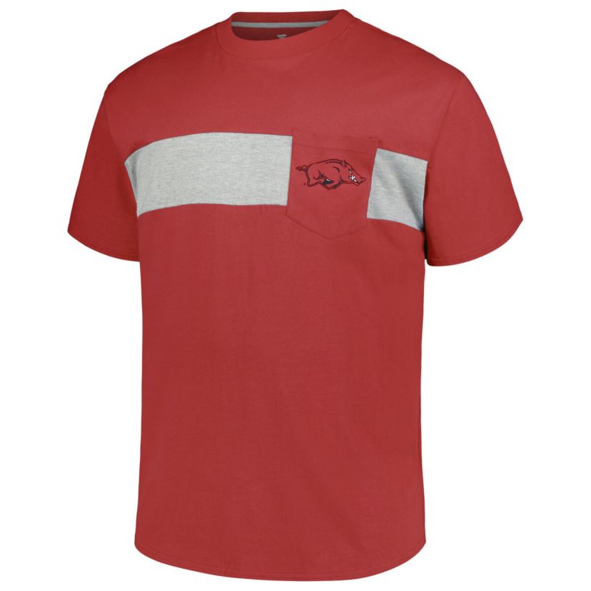 NCAA Arkansas Razorbacks Big & Tall Color Stripe T-Shirt