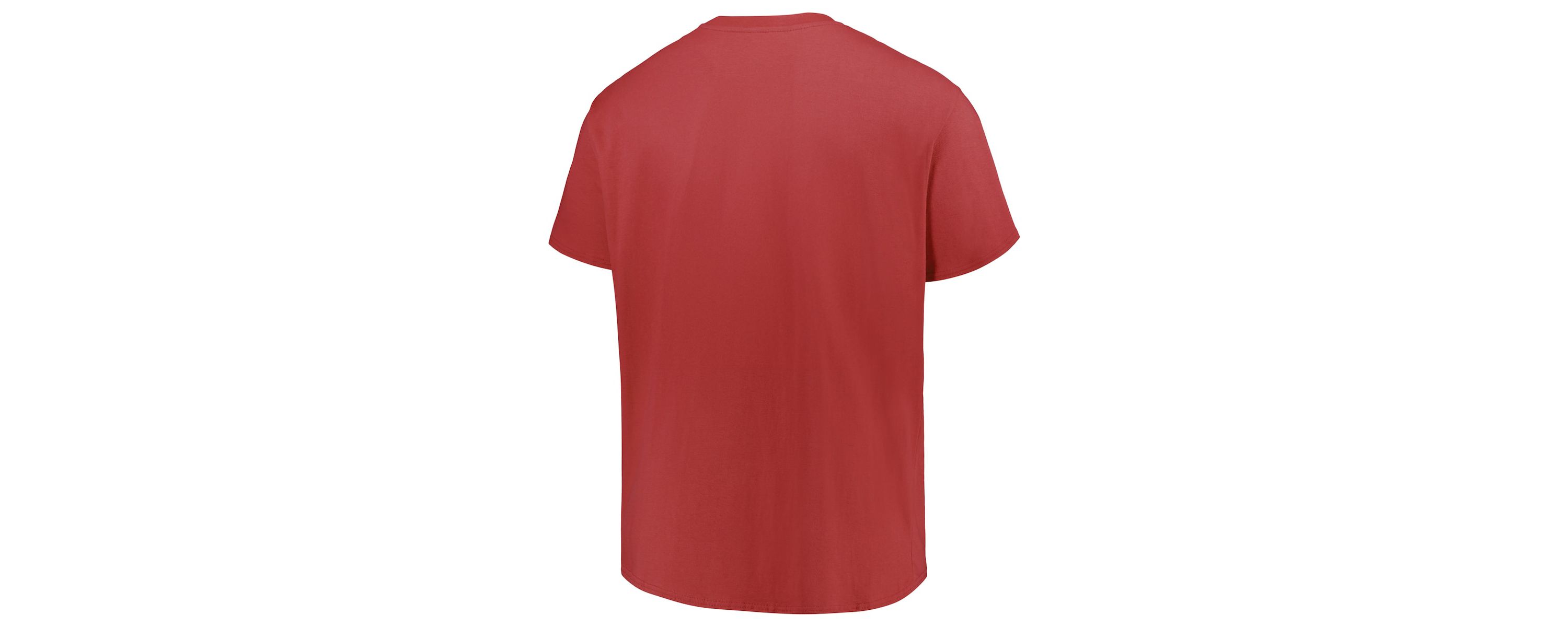 NCAA Arkansas Razorbacks Big & Tall Color Stripe T-Shirt