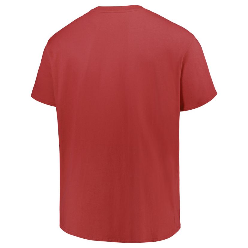 NCAA Arkansas Razorbacks Big & Tall Color Stripe T-Shirt