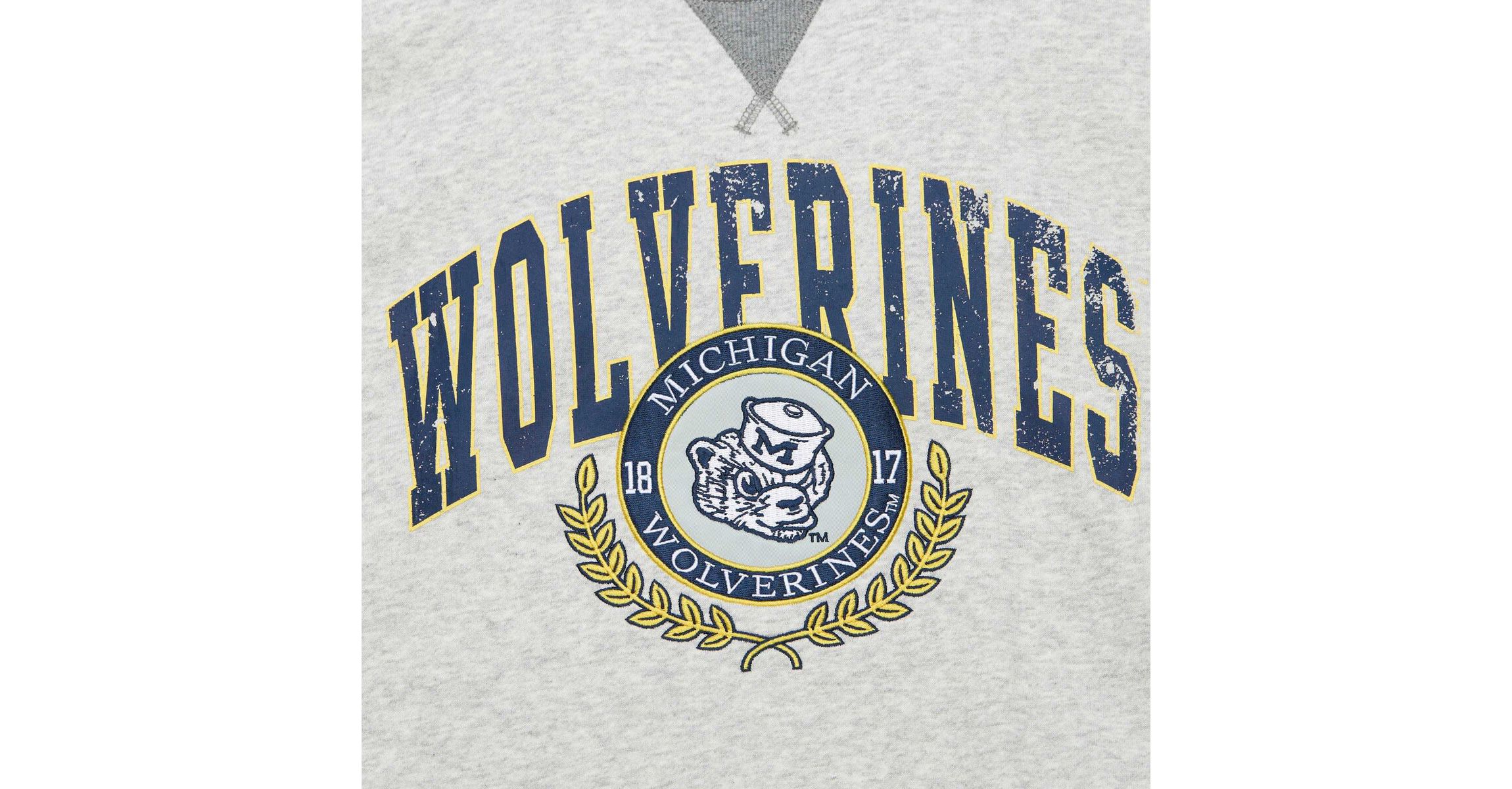 NCAA Michigan Wolverines Arched Fleece Crewneck Pullover Sweatshirt