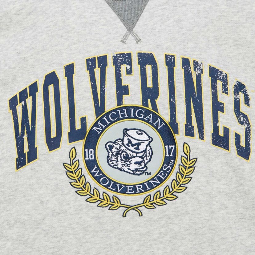 NCAA Michigan Wolverines Arched Fleece Crewneck Pullover Sweatshirt