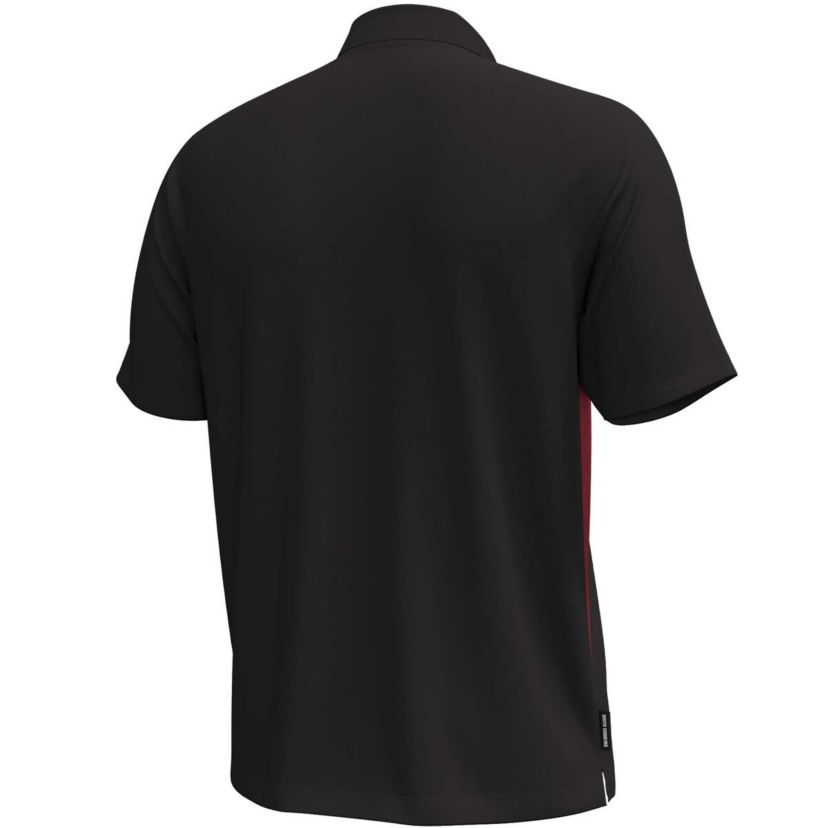 NCAA Under Armour South Carolina Gamecocks Title Performance Polo
