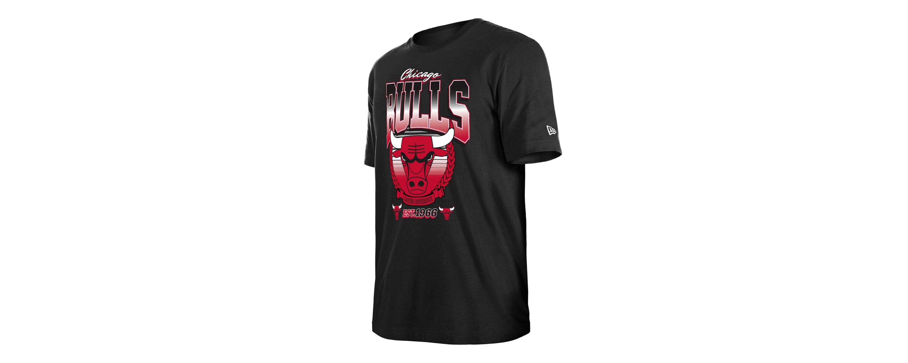 NBA Unisex Chicago Bulls Summer Classics T-Shirt