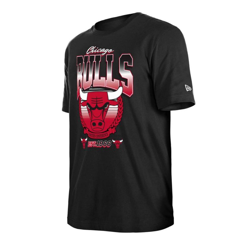 NBA Unisex Chicago Bulls Summer Classics T-Shirt