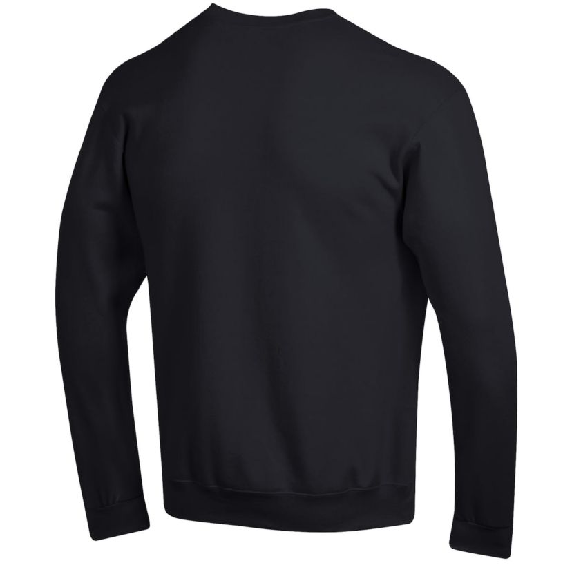 NCAA Iowa Hawkeyes Football Icon Pullover Sweatshirt