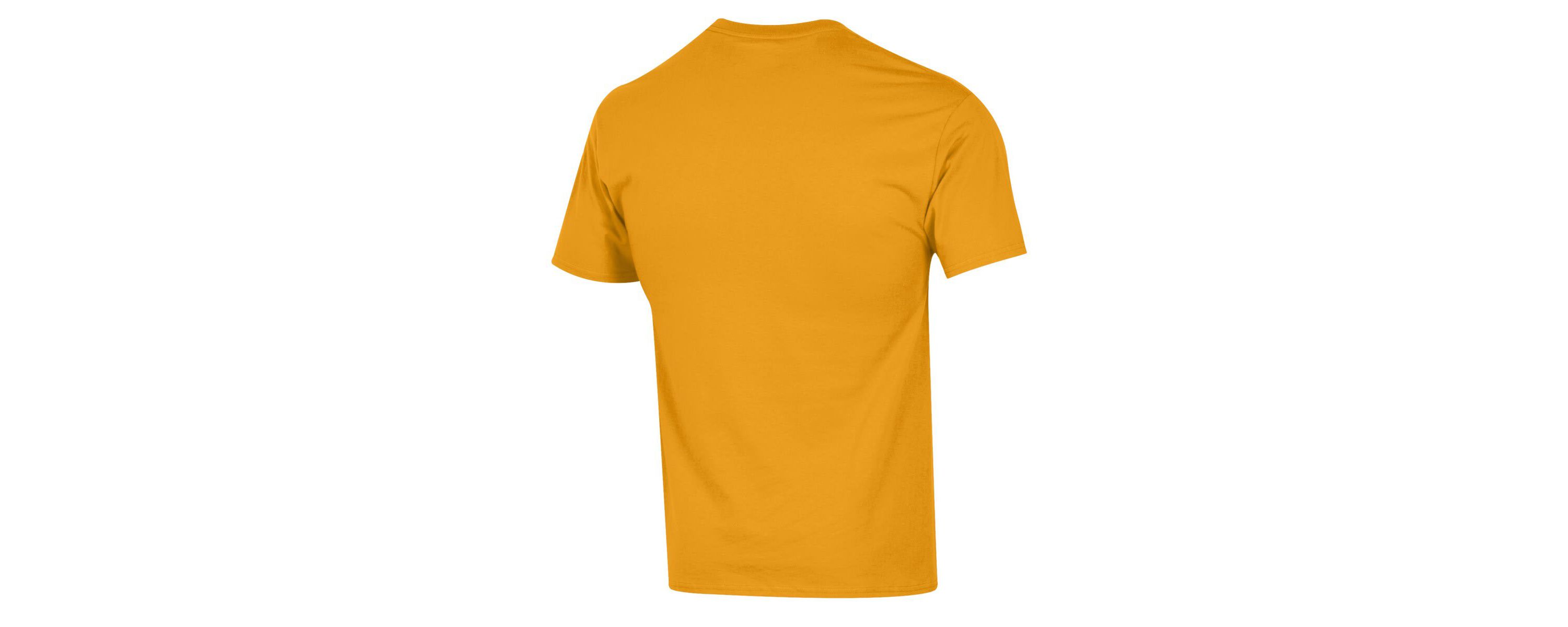 NCAA Iowa Hawkeyes Football Icon T-Shirt